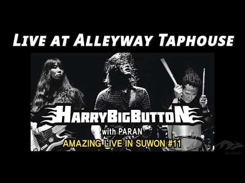 Harry Big Button: Live at Alleyway Taphouse (12.21)