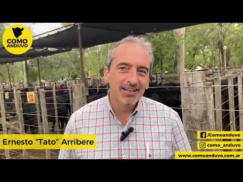 Ernesto “Tato” Arribere; Arribere Ugarte y Cía. Rauch 11/3/25.