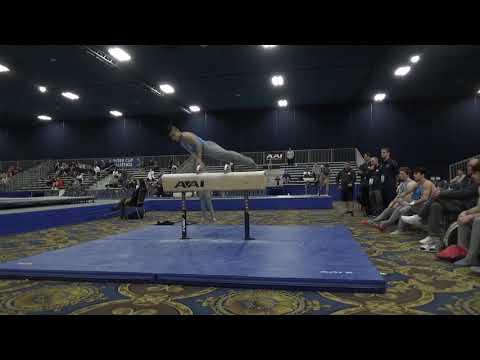 Asher Hong - Pommel Horse - 2020 Winter Cup Jr. Prelims and Elite Team Cup