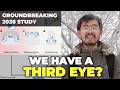 We Actually Have a Third Eye