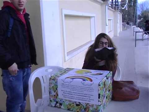 ONDA TG 08.12.2014 - SOGNO DI IAIA   QUADRANGOLARE AL PALLOZZI