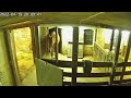 Big Horse Fart