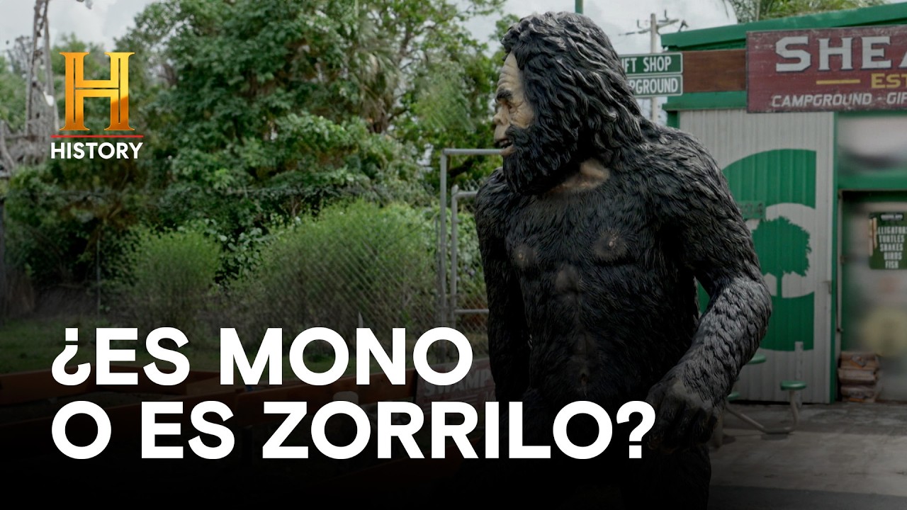 ¿ES MONO O ES ZORRILO? - MISTERIOS DEL PANTANO