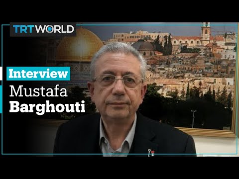 What is the International Day of Solidarity with the Palestinian People?