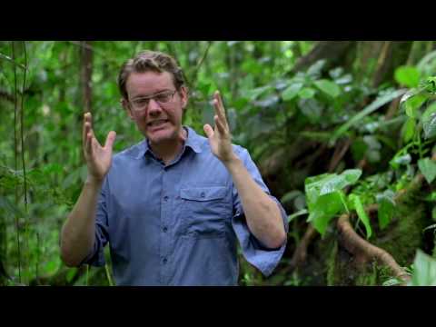 Biodiversitet - Hvad Rager Det Mig?