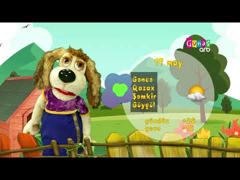 "Hava necə olacaq?" - 17 may 2025-ci il