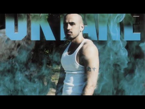 Da Professor - Crocodile Song