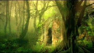 Secret Garden  -  Gates Of Dawn