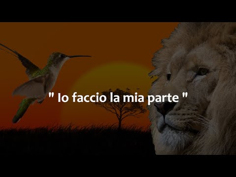 Io faccio la mia parte | Storie emozionanti con morale | Lezioni di vita