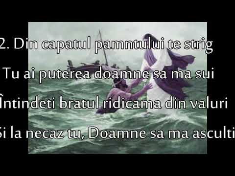 asculta doamne strigatele mele negativ versuri