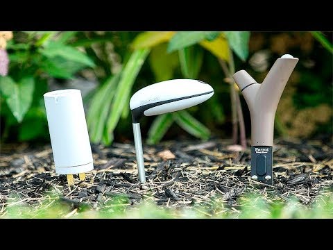 Giuirléidí uathúla don ghairdín