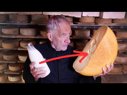 Le mystère derrière la couleur orange des fromages 🟠