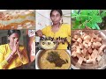 Naga Chaturthi Vlog Naga Panchami Festival Daily Vlog Weight Loss Senai Kilangu Recipe Piltai Recipe