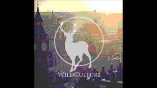 London Grammar - Hey Now (Wild Culture More Sub Remix)