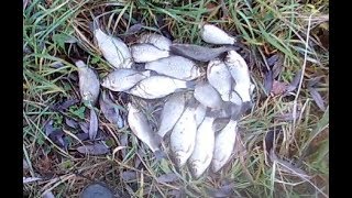 Рыбалка в октябре на удочку с берега