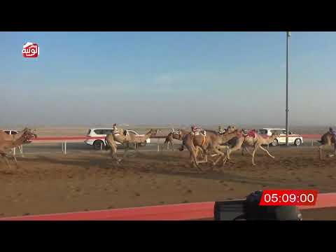  ش 5 (الشاهينيه) لـ علي خميس خادم الكاسبي 7:47:09 ، شارة الديوان 2026/10/25 إيذاع الوقن