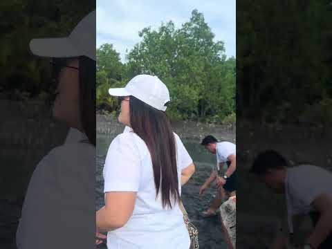 Volunterific of Landbank (Tanim ng Bakawan)