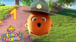 FIVE BUNNYSCOUTS SONG | SING ALONG | Sunny Bunnies | Cartoons for kids | WildBrain Bananas