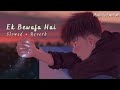 Ek Bewafaa Hai Slowed Reverb Sameer Khan Sad Lofi Song Music Is Emotion