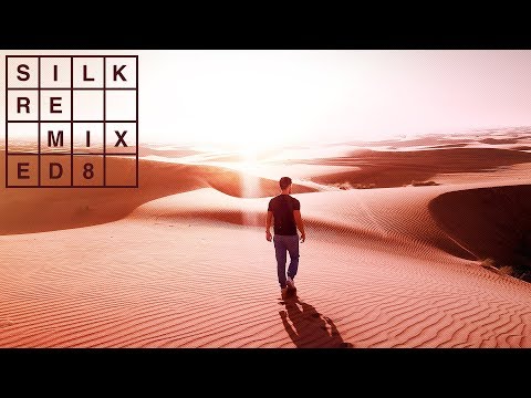 eleven.five & Arielle Maren - Remember (MEHÍLOVE Remix) [Silk Music]