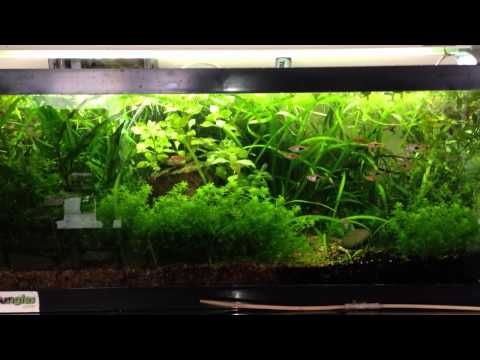 How long does a paintball CO2 tank last?