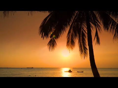 Reggae Mix - Iya Terra, Chronixx, Protoje, Stick Figure,