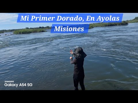 Mi Primer Dorado En Ayolas Misiones Un Paraíso junto al Río Parana 🌊🎣