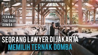 Download lagu Sukses Ternak 700 Ekor Domba, Omzet 1 MILYAR / BULAN mp3