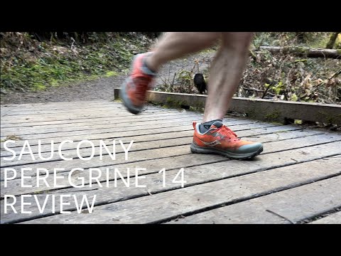 Saucony Peregrine