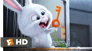 The Secret Life of Pets - Busting You Out! Scene (3/10) | Movieclips