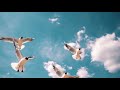Aa Chal Ke Tujhe Harish Moyal Ft Dev Moyal Nitya Moyal