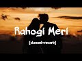 Rahogi Meri | slow + reverb |Love Aaj Kal | Kartik | Sara | Pritam | Arijit | Lofi World |