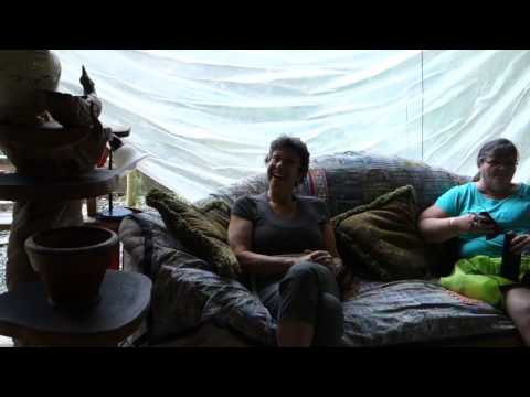 Dog Trainers' Collaborative Las Casas de la Selva Puerto Rico