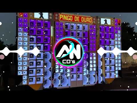 FORRÓZIN 2024 - 2 MÚSICAS PRA TIKTOK 2K24 - A MAIS TOCADAS PRA PAREDÃO - SOM DE PAREDÃO