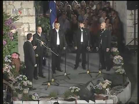 Nešto lize niza škinu - klapa Vinčace - FDK 2009