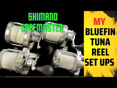 Shimano Speedster Master lineup - My Bluefin Tuna reels