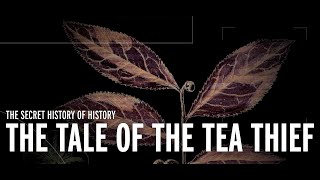 The Tale of the Tea Thief - Sarah Rose