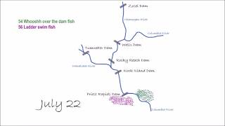 Whooshh Selective Fish Passage - How it Works