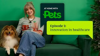 Are pet supplements actually worth it? Finding the right support | At Home with Pets