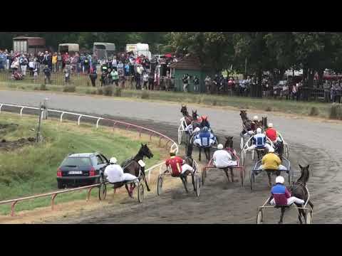 Trka"QUENTIN HILL" 26 08 2018 Saphir A.T.-Josip Gabrić