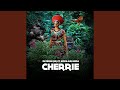 Cherrie Aliphatik S Afro Mix