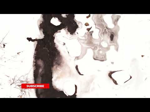 Léo Delibes- Coppélia, Act II: Musique des automates