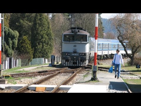 vlaky ve stanici Hvězdonice + Čerčany 7.4.2018