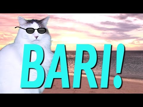 HAPPY BIRTHDAY BARI! - EPIC CAT Happy Birthday Song