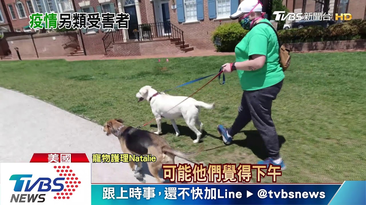 新冠肺炎疫情衝擊 美寵物護理生意驟減