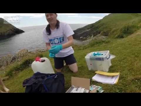 Ocean Sampling Day