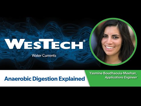 Anaerobic Digestion Explained
