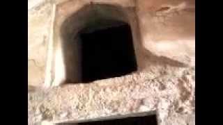 preview picture of video 'Bat Nest in the Royal Palace of Mandu'