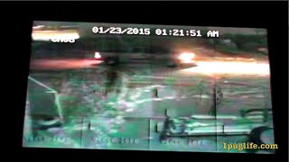 preview picture of video 'inwood burglary 01/23/2015'