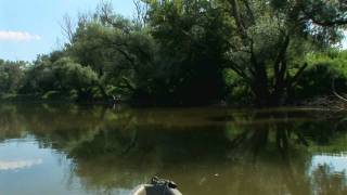 preview picture of video 'Mit dem Kanu durch die March-Donau Auen'